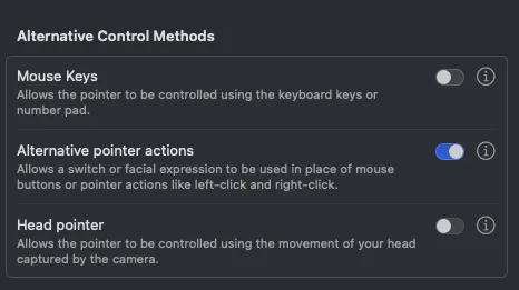 macOS Accessibility — Pointer Control settings