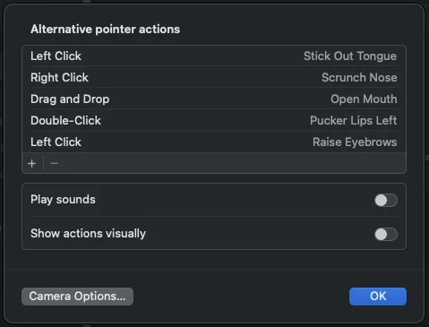 macOS Accessibility — Alternative Control Methods settings