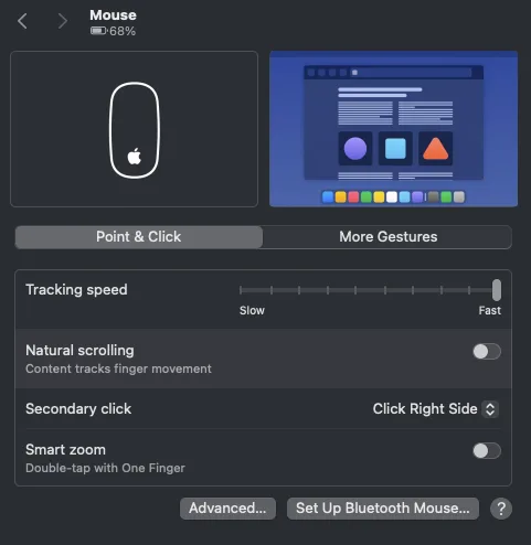 macOS Mouse settings showing tracking speed